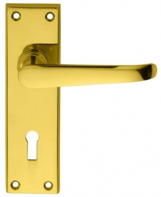 Ascot Lever Door Handle on Lock Backplate